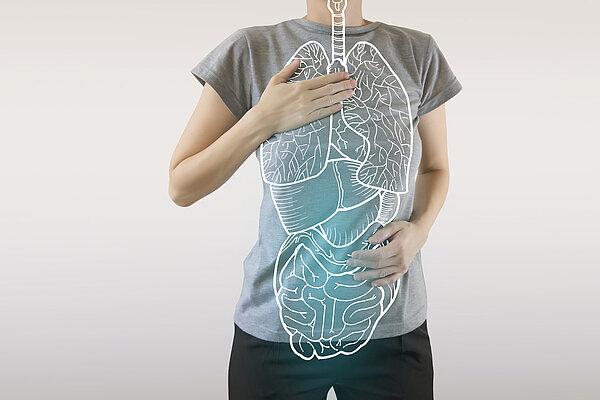 Torso einer Frau, vor welchem die inneren Organe abgebildet sind.