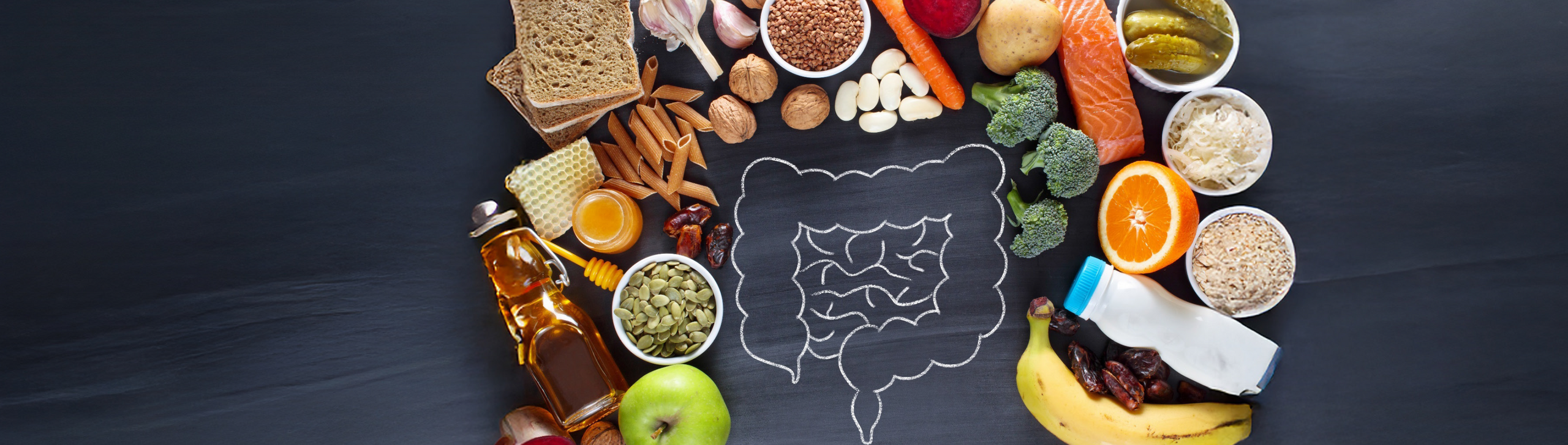 Zeichnung denn Verdauungstrakts. Drumherum sind verschiedene Lebensmittel abgebildet.