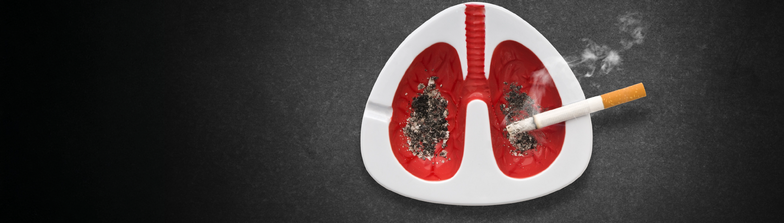 Als Lunge dargestellter Aschenbecher, in welchem eine glimmende Zigarette liegt.