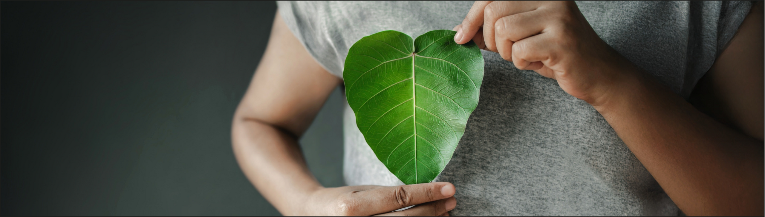 Person hebt grünes Blatt in Herzform vor die Brust.