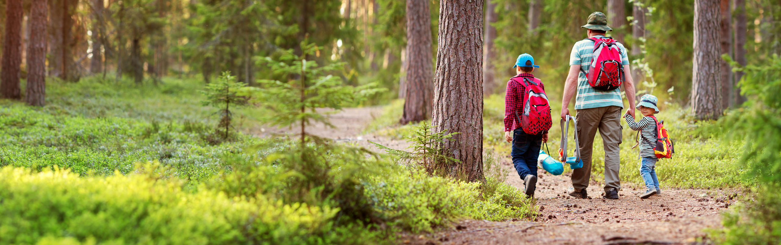 Vater geht mit seinen zwei Söhnen im Sommer im Wald spazieren.