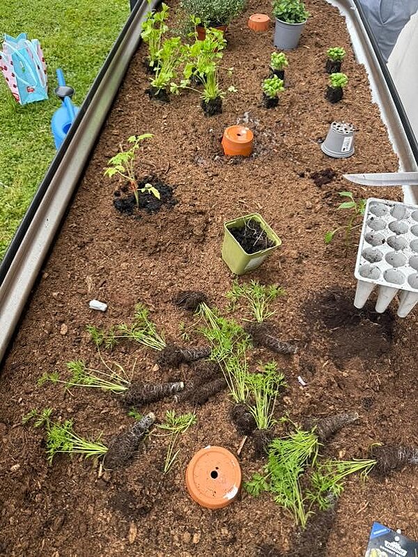 Bepflanzung Hochbeet