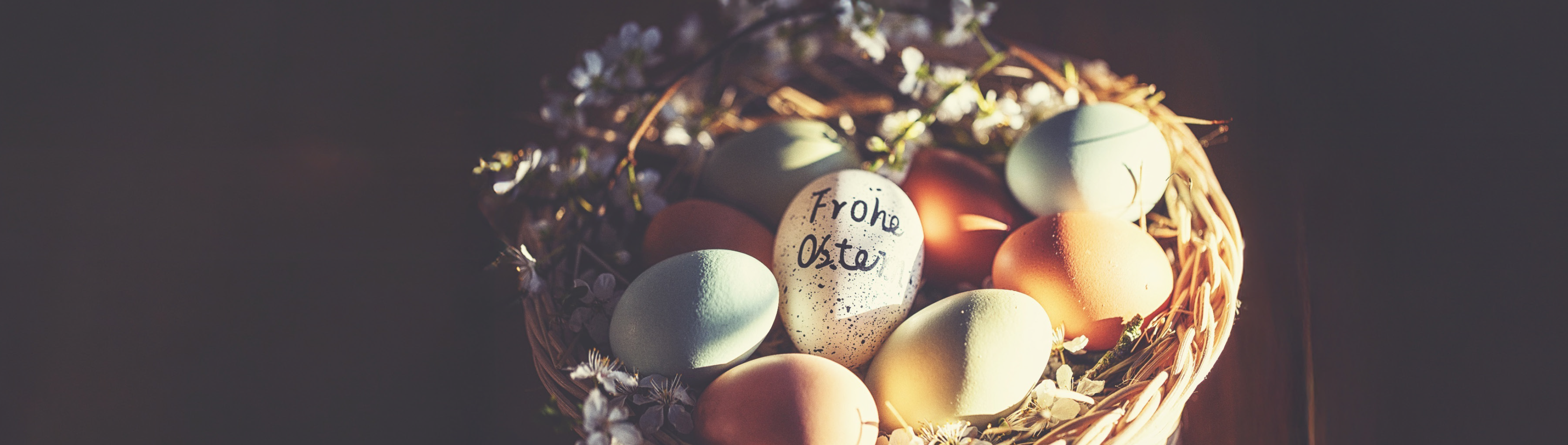 Osternest mit bunten Eiern darin. Auf einem steht "Frohe Ostern".